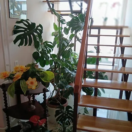 Ferienhaus Margo Vendeghazak Hajdúszoboszló