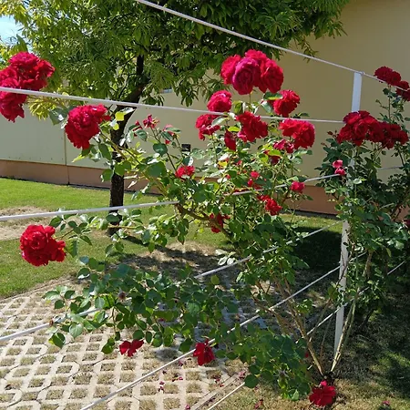 Margo Vendeghazak * Hajdúszoboszló